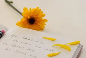 How to Paraphrase a Poem
